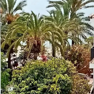 Old Town , Estepona Spain